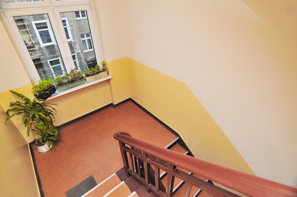 Mieszkanie na wynajem – /Zachodniopomorskie/Szczecin/Śródmieście-Centrum - zdjęcie 11