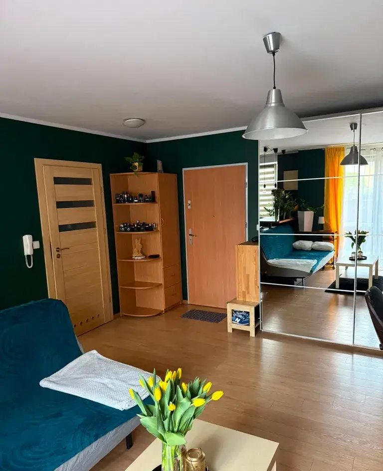 Komfortowa kawalerka 31 m² z dużym tarasem | Krzyki | ul. Racławicka - zdjęcie 9