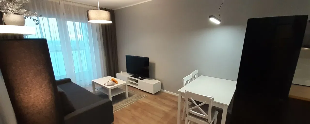 Nowoczesne mieszkanie 2-pokojowe w Poznaniu - zdjęcie 6