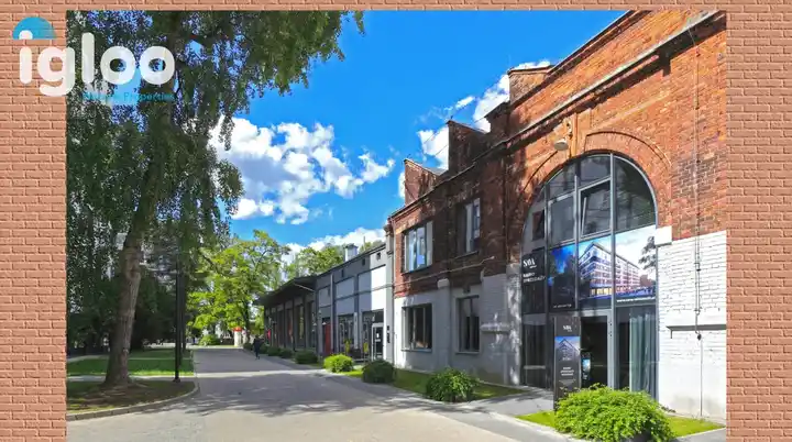 Mieszkanie do wynajęcia po remoncie 59 metrów z parkingiem - zdjęcie 7