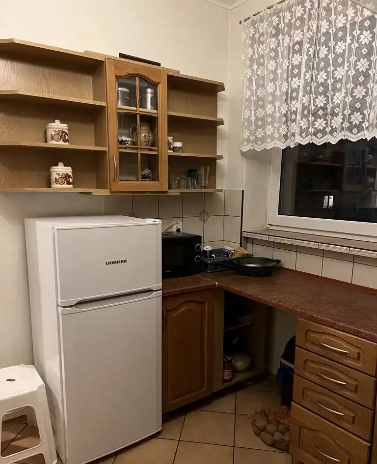 Bardzo duży pokój na wynajem w szeregowcu na Strzeszynie Greckim - zdjęcie 10