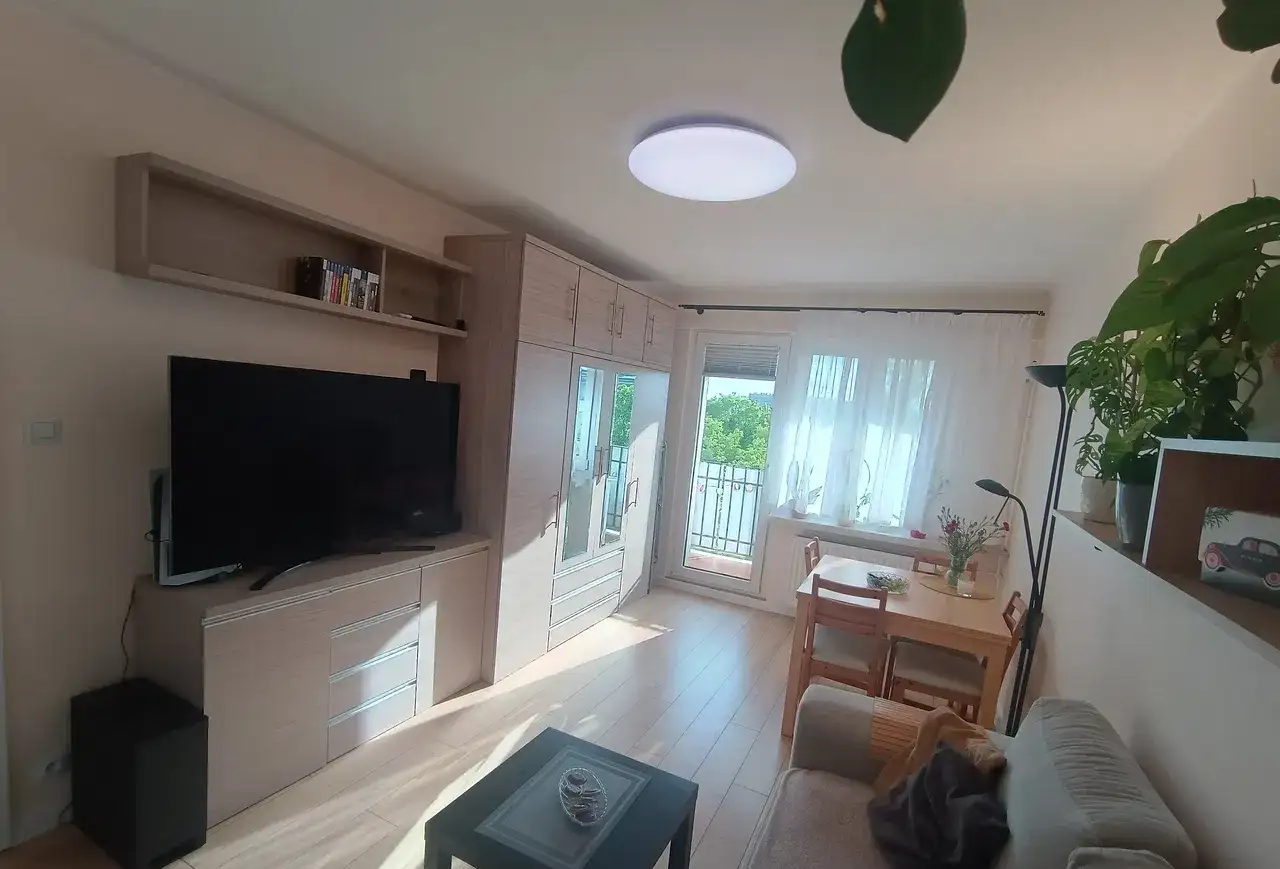 Komfortowe 3 pokojowe mieszkanie. Od 1 lipca. - zdjęcie 3
