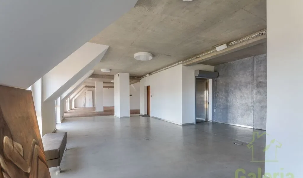 Loft 308 m² z widokiem na Odrę - zdjęcie 6