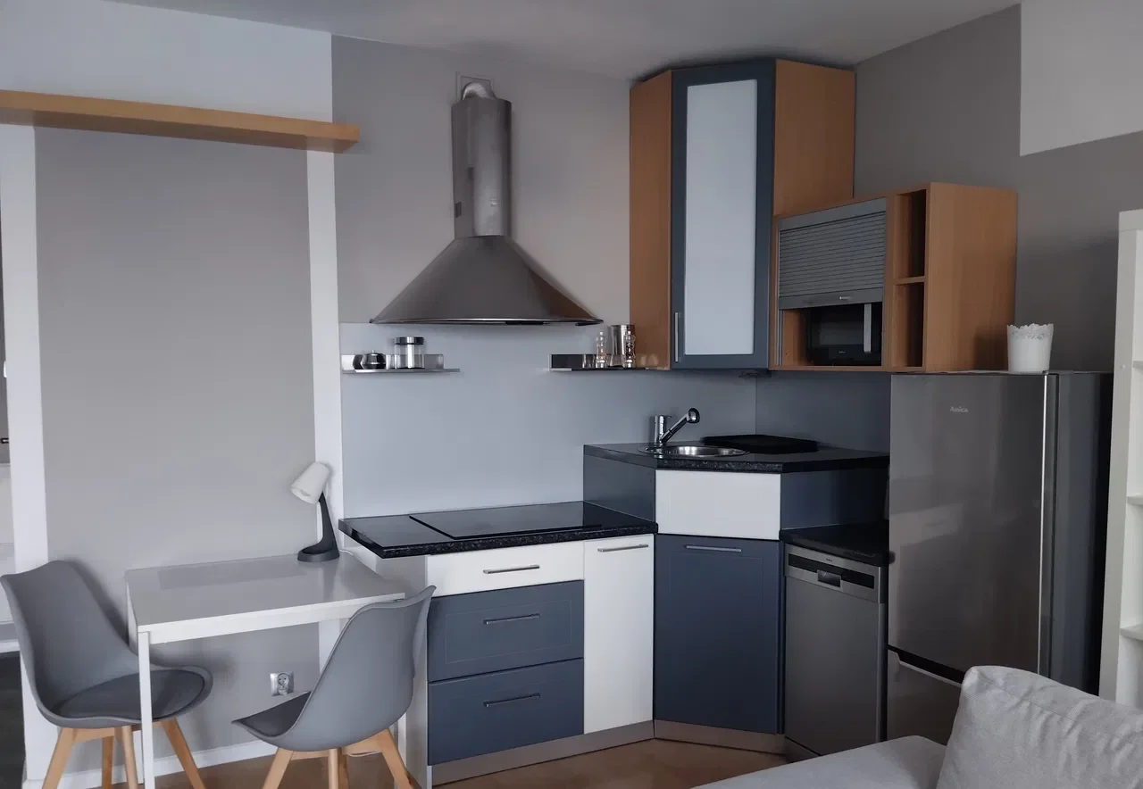Comfortable studio with balcony in City Center - zdjęcie 4