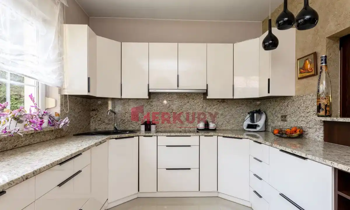 Duży ogród | 2 garaże | prywatność - zdjęcie 4