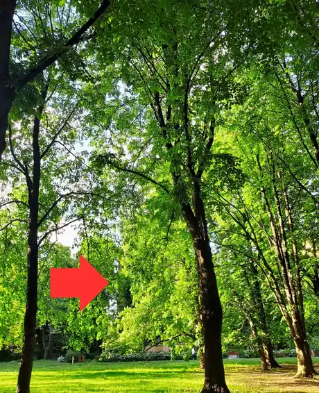 Chłodna kawalerka na Starym Mokotowie z dużym balkonem - zdjęcie 3