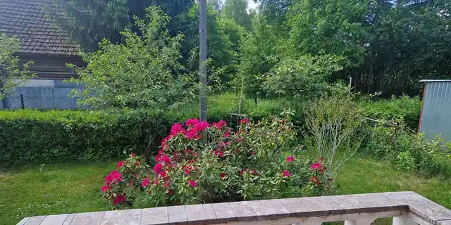 Klimatyczny domek do wynajęcia pod lasem gm. Borzęcin - zdjęcie 6