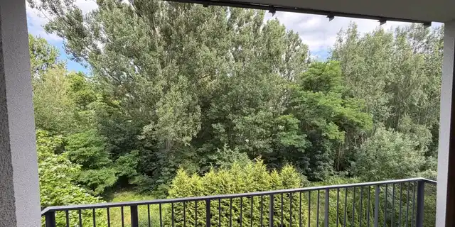 Mieszkanie 85 m, 4 pokoje, kuchnia, 2 toalety, Ligota przy parku, bez pośredników - zdjęcie 7