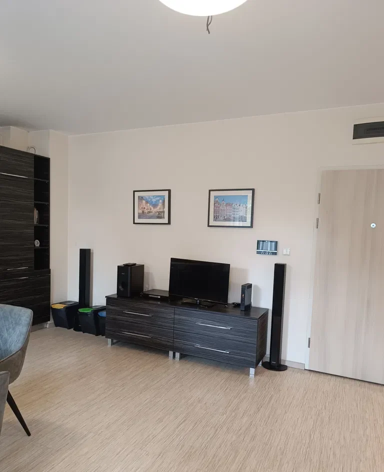 Do wynajęcia słoneczny apartament w odrestaurowanej pięknej kamienicy - zdjęcie 2