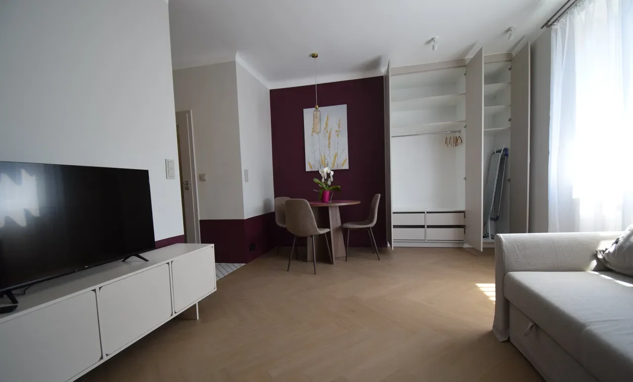Komfortowa, świeżo wyremontowana kawalerka w centrum – 25 m² - zdjęcie 4