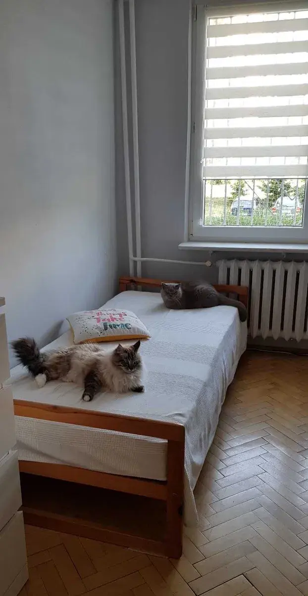 Pokój do wynajęcia w 3-pokojowym mieszkaniu, Metro Imielin, od zaraz - zdjęcie 6