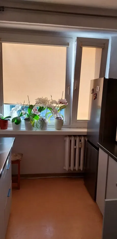 Do wynajęcia jasny, komfortowy pokój 12 m² – dostępny od 1.06 - zdjęcie 9
