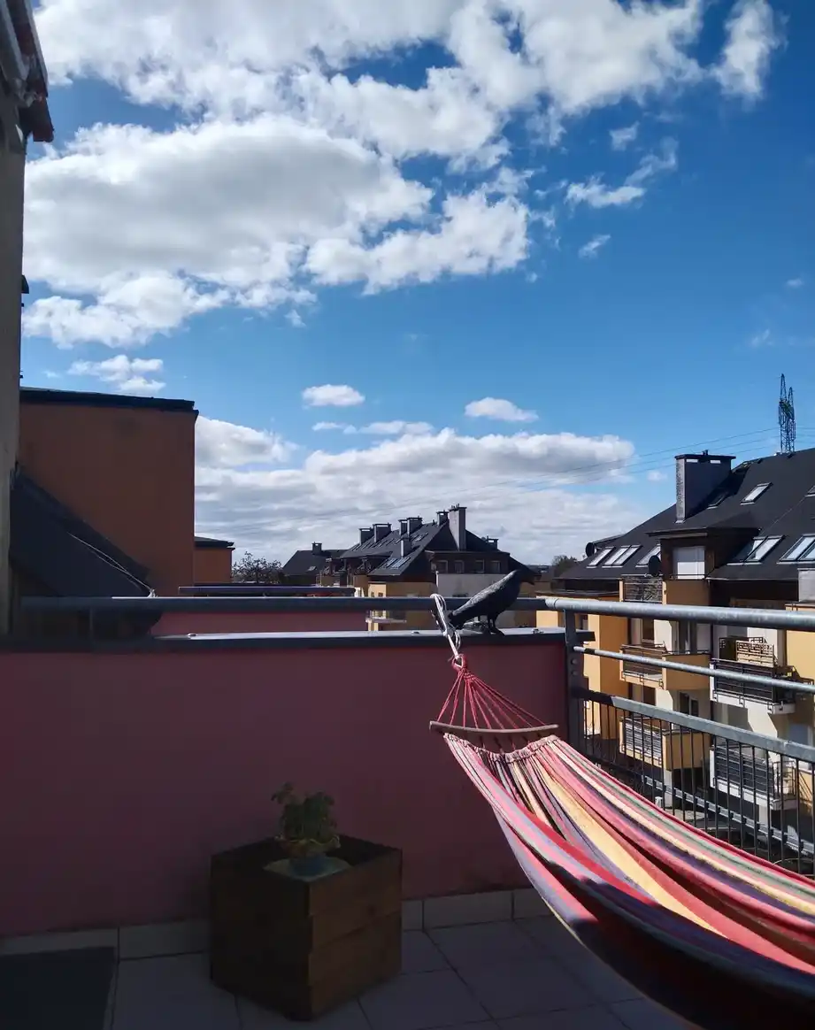 Wynajme Mieszkanie 3 pok. Warzymice ul. Teczowe Ogrody - zdjęcie 6