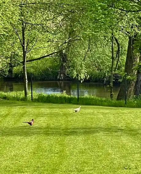 DOM PREMIUM NAD RZEKĄ WIEPRZ | 12 KM OD LUBLINA | PRYWATNA PLAŻA | 7000 M² DZIAŁKI - zdjęcie 4