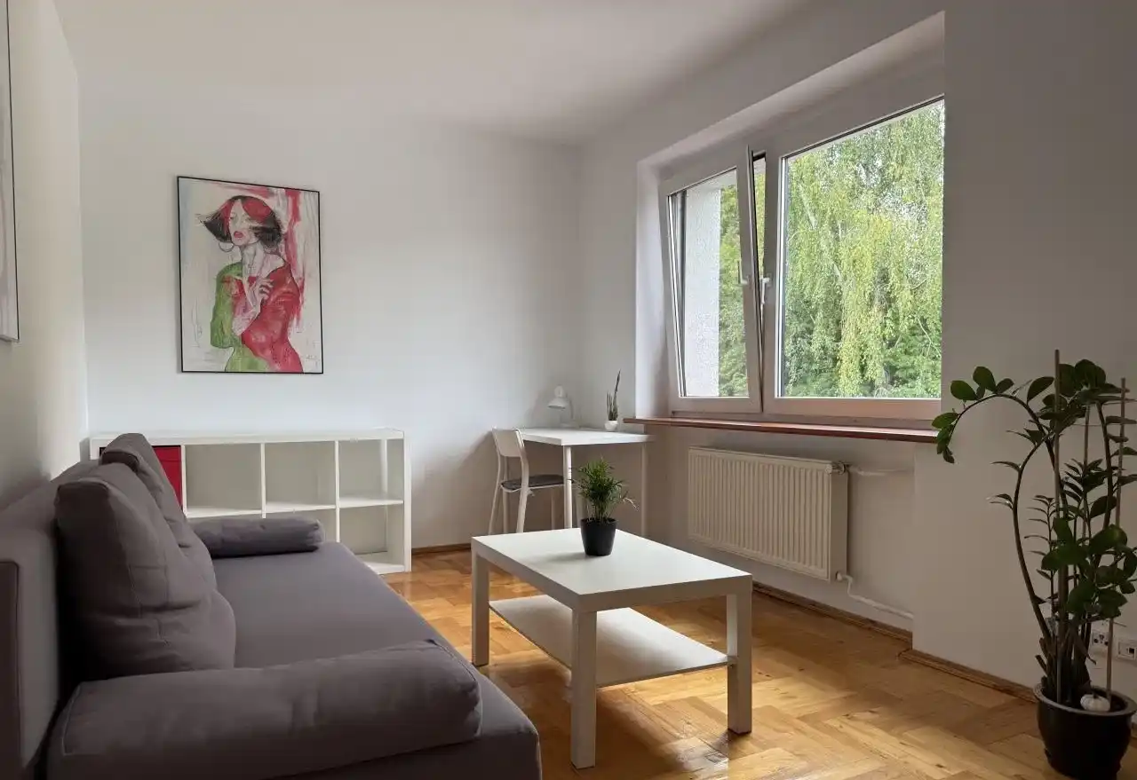 Piątkowo umeblowane w willi 50m2, bezczynszowe, 26 - zdjęcie 6