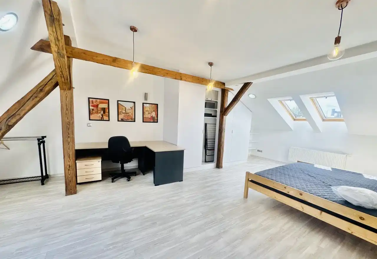 140m2/ 2 duże sypialnie/ po remoncie/ umeblowane/ Katowice Śródmieście - zdjęcie 5