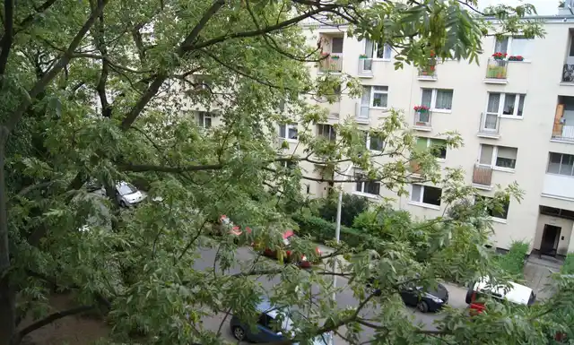 Kawalerka wśród zieleni/ Studio in greenery (ul. Sielecka 52) - zdjęcie 9