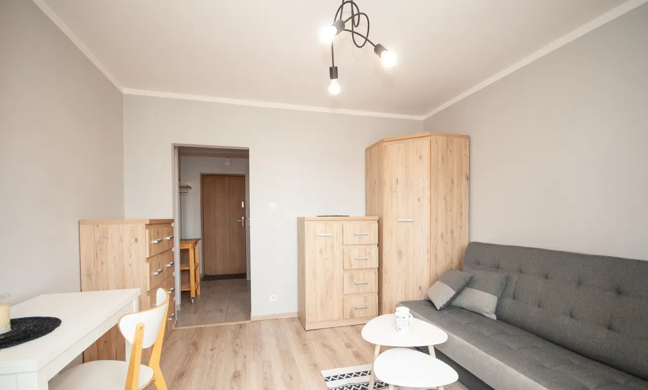 Kawalerka przy Hanza Tower od 1 czerwca - zdjęcie 5