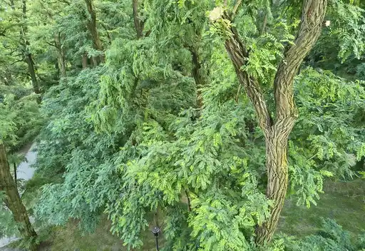3 pokoje | 55 m² | Balkon | Garaż | Blok z 2020 r. | Mistrzejowice - zdjęcie 7