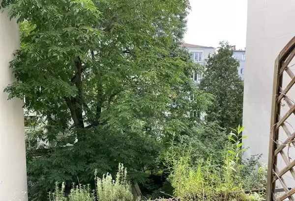 3 pokoje stary Mokotów ! - zdjęcie 2