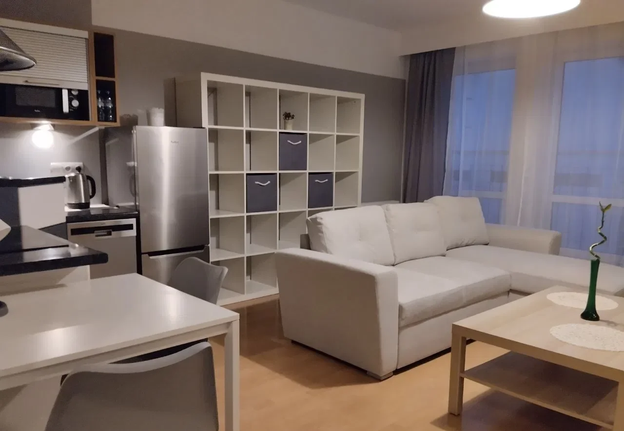 Comfortable studio with balcony in City Center