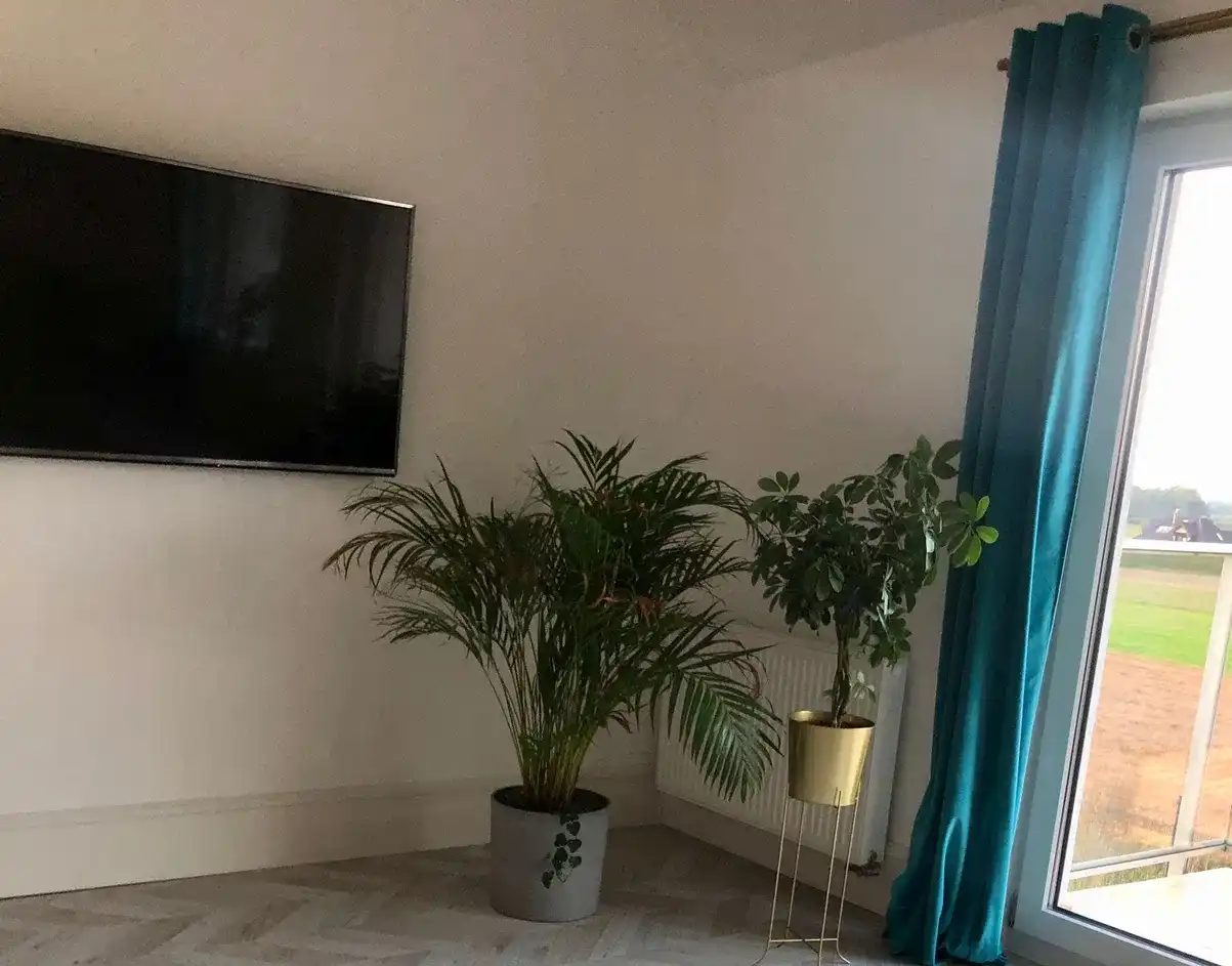 Wynajmę apartament z widokiem na morze i rezerwat przyrody. - zdjęcie 4
