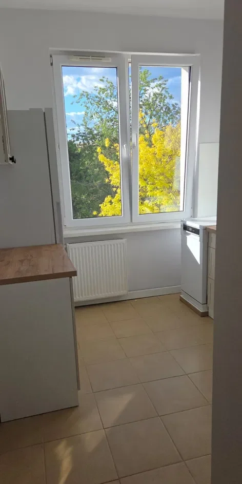Duża kawalerka Jaworowa 3 - zdjęcie 5