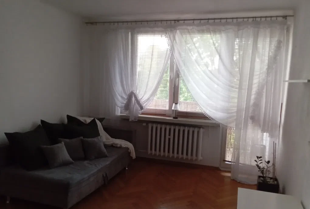 Duże, 2 pokojowe mieszkanie do wynajęcia. - zdjęcie 3