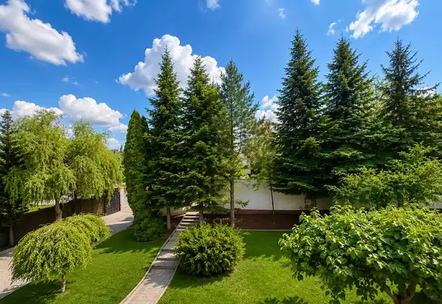 Dom przy Parku Decjusza | 180 m² | 10 arów | Dla rodziny lub firmy - zdjęcie 3