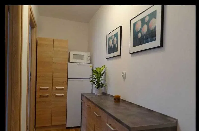 Pokój dla kobiety w spokojnej okolicy - zdjęcie 4