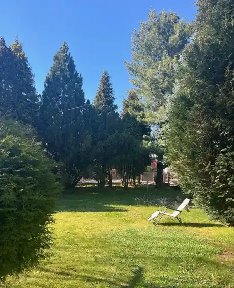 Przestronny ,zadbany dom z pięknym dużym ogrodem. - zdjęcie 2