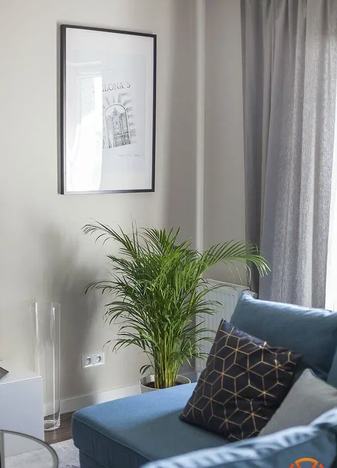 City Park! Dwupokojowy apartament z klimatyzacją! - zdjęcie 7