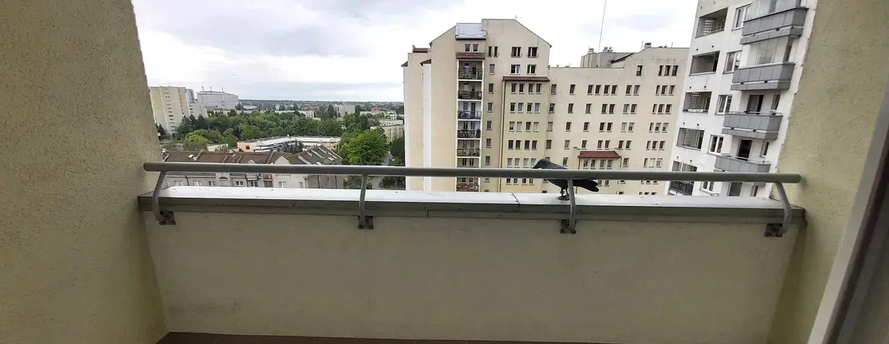 Metro Stokłosy 1 minuta, 11 m2, balkon, blisko SGGW i Vistula - zdjęcie 7