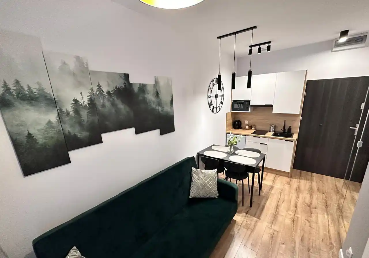 Nowoczesny apartament w centrum, Plebiscytowa - zdjęcie 7