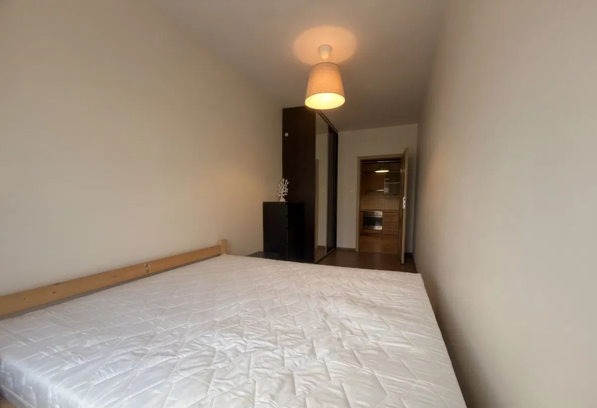Przestronne | centrum | po remoncie | wyposażenie - zdjęcie 5