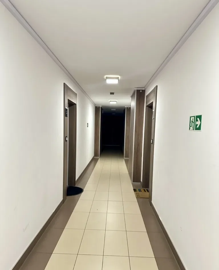 AKCEPTACJA ZWIERZĄT. Dla Rodzin z dziećmi. Najem wieloletni - zdjęcie 3