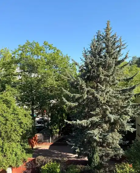 Kawalerka z balkonem 10 min od Centrum Saska Kępa - zdjęcie 8