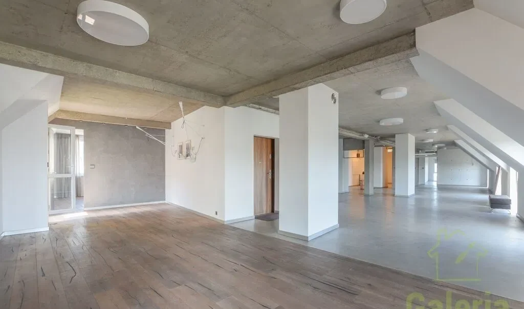 Loft 308 m² z widokiem na Odrę - zdjęcie 3