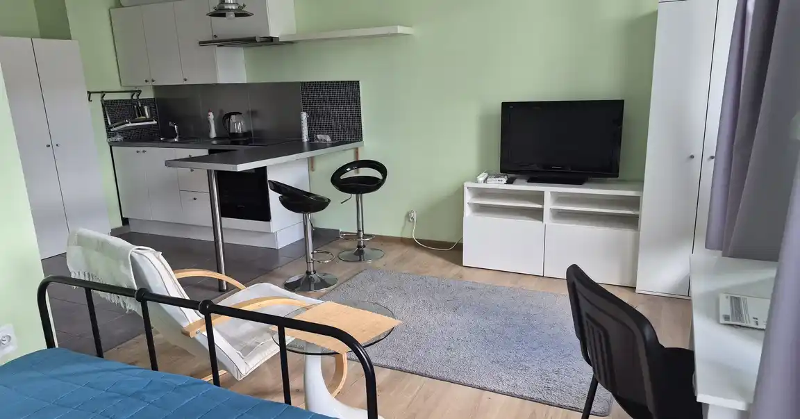 Do wynajęcia mieszkanie -studio 1 pokój Centrum Szczecina - zdjęcie 8
