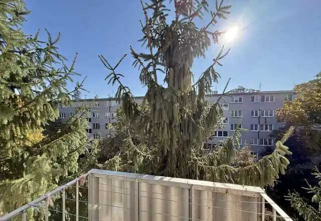 Kawalerka / centrum  / balkon / od zaraz - zdjęcie 3