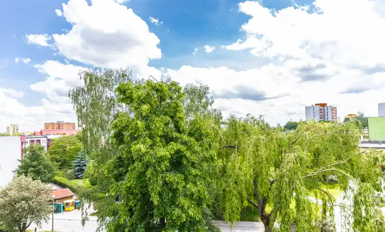 Wynajmę nowoczesne 3-pokoje-Lublin ul. Trześniowska - zdjęcie 8