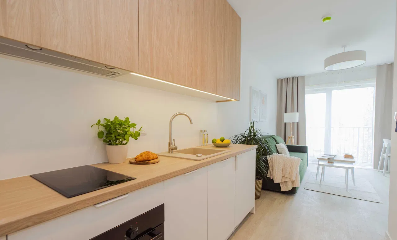 Nowe studio 22 m, bezpośrednio, pet friendly - zdjęcie 4