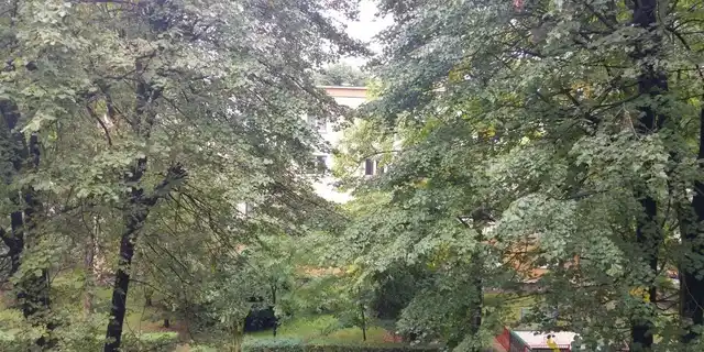 Pokój do wynajęcia w centrum Krakowa, Hala Targowa na Grzegórzkach - zdjęcie 4