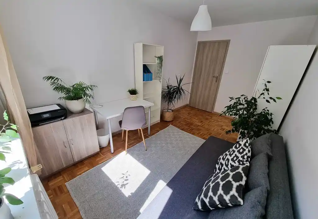Pokój jednoosobowy na Starym Mieście we Wrocławiu - zdjęcie 3