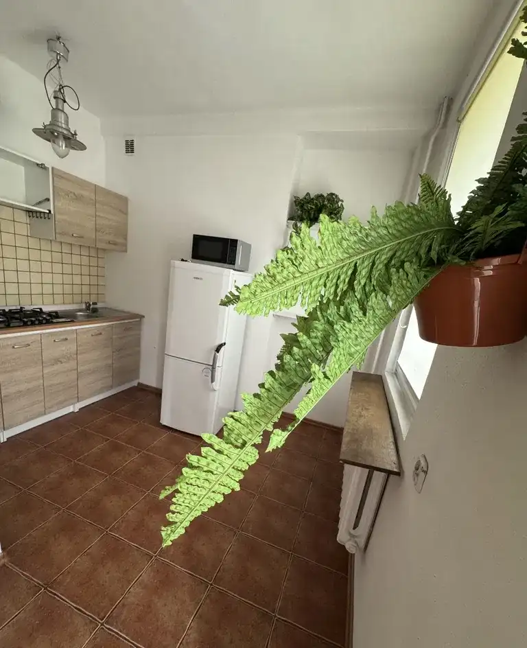 Koszutka, klimatyczne STUDIO
Z BALKONEM na całą szerokość mieszkania - zdjęcie 6