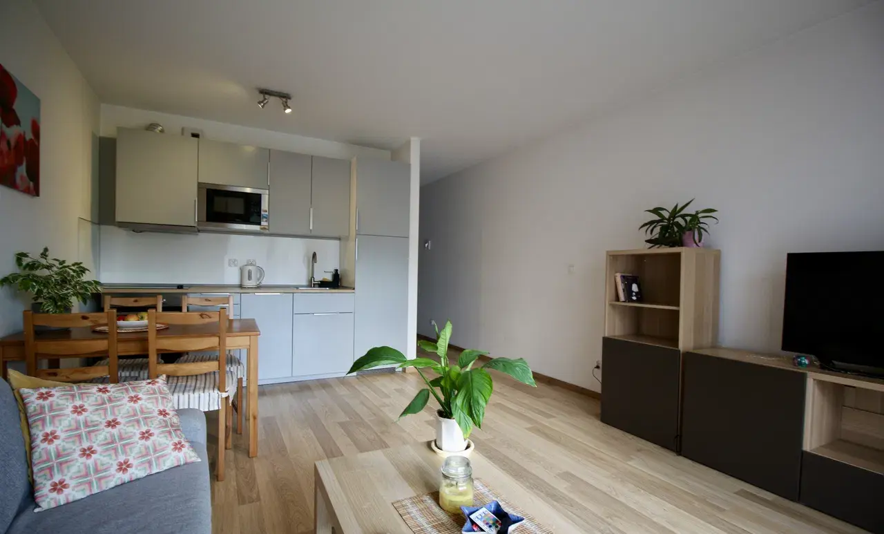 PL/RU 2 Pokoi/Klimatyzacja/Od 1 lipca/Balkon/Obok Wielicka/Garaż - zdjęcie 6