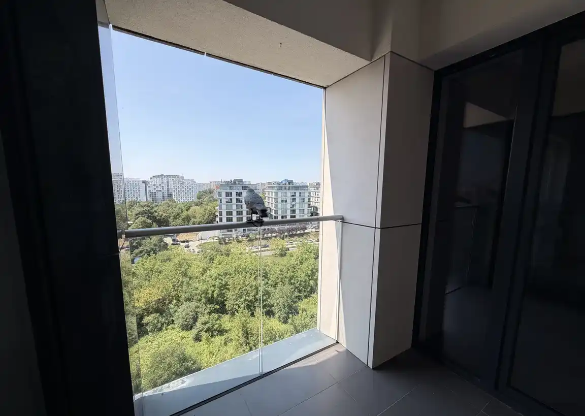 PL & ENG - For rent ! MUL | Na wynajem 2pok |  56m2 |  Północna 5 - zdjęcie 8