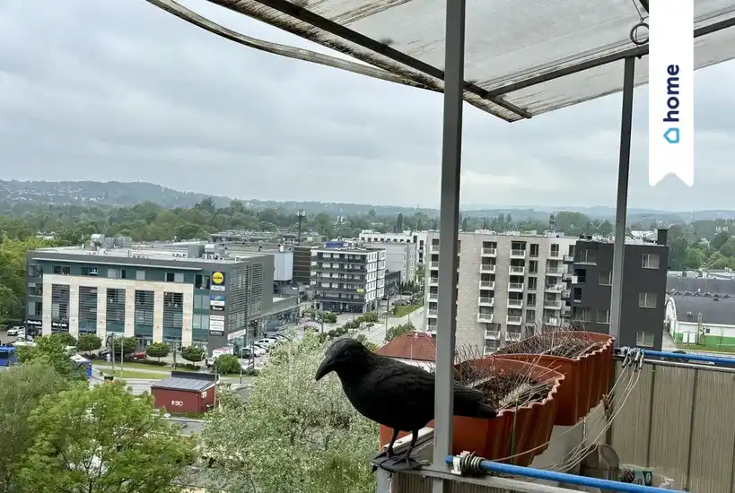 Mieszkanie z widokiem na Las Wolski w Krakowie - zdjęcie 10