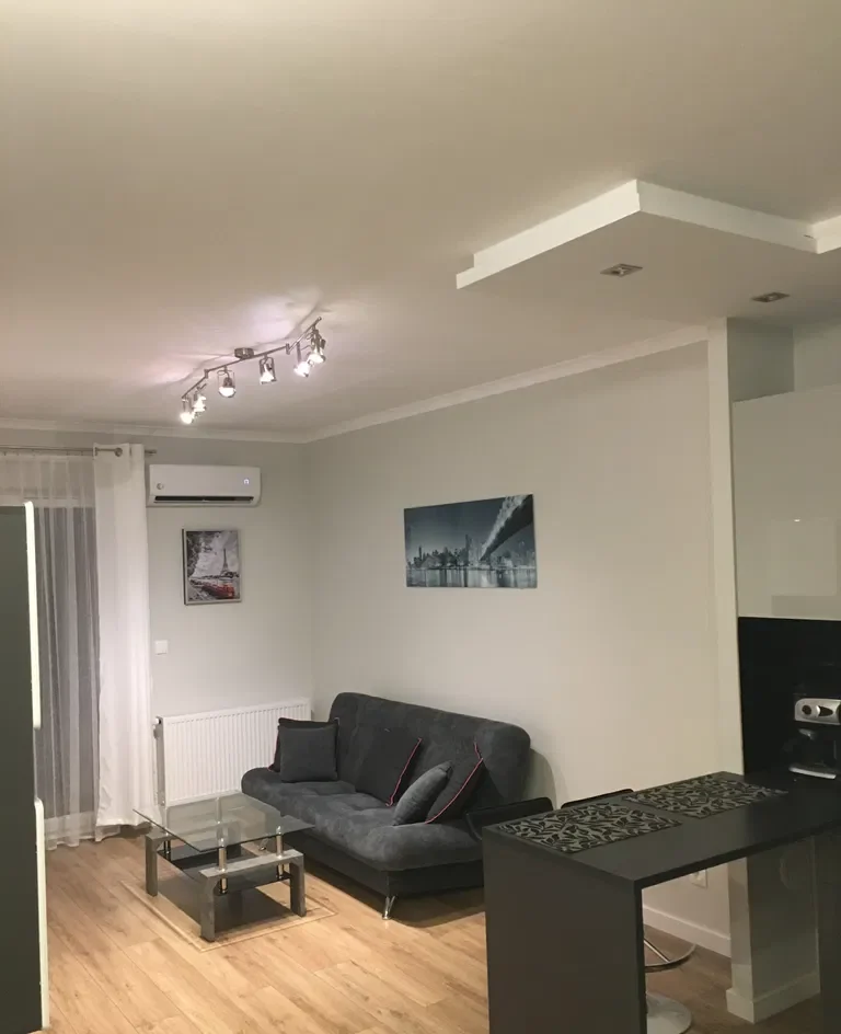 Mieszkanie 45m2 na osiedlu Atal Francuska Park w Katowicach - zdjęcie 2