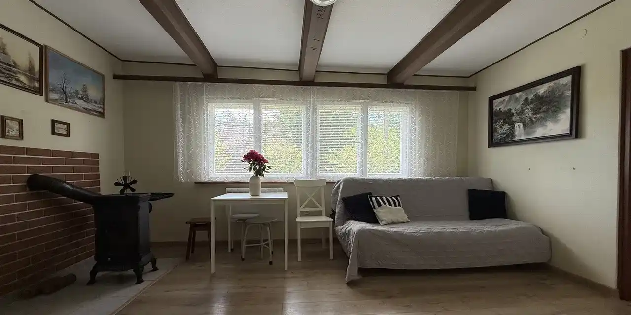 Klimatyczny domek do wynajęcia pod lasem gm. Borzęcin - zdjęcie 9